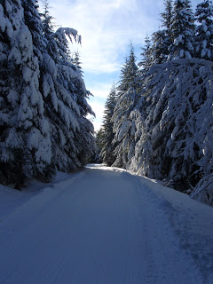 Mountain time again